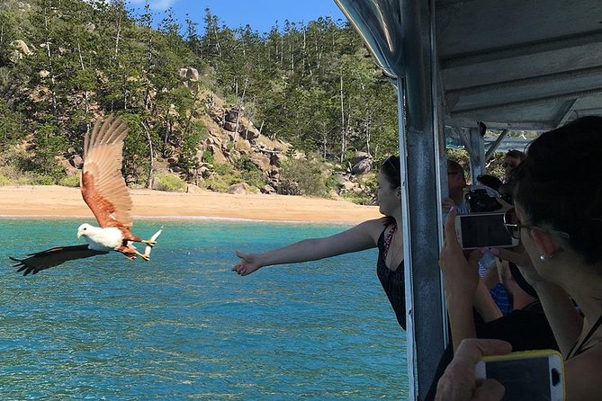 Magnetic Island Discovery Tour with Snorkeling & Paddle Boarding - Who should book this tour