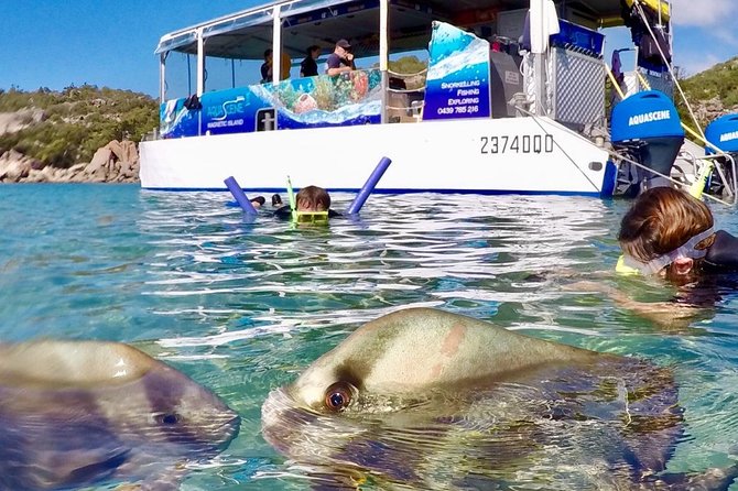 Magnetic Island Discovery Tour with Snorkeling & Paddle Boarding - Cruising past secluded bays and unusual rock formations