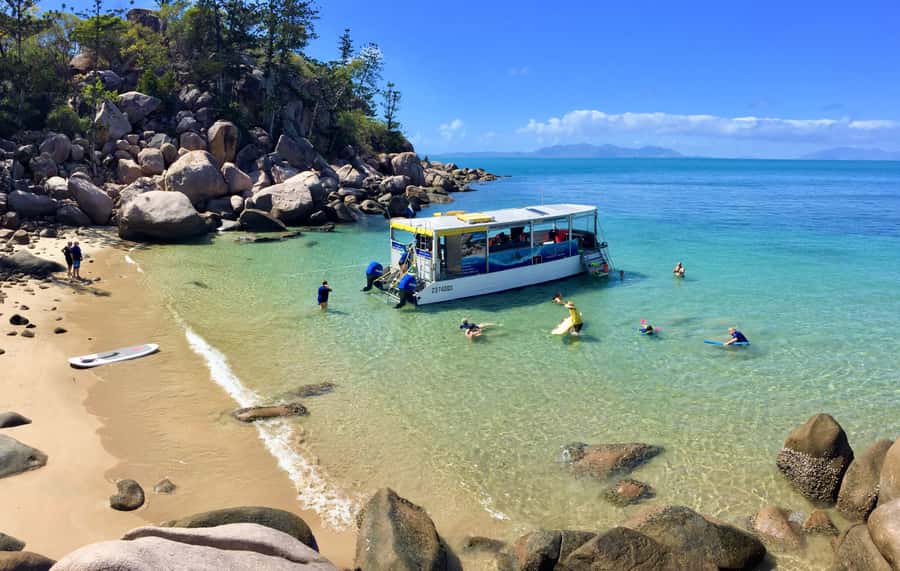 Magnetic Island: Snorkel Discovery Tour - Key points to know before you book