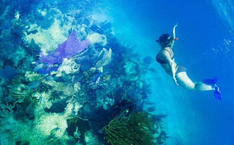 Mahahual: Snorkel Tour in Reef Lagoon - Key details before you book