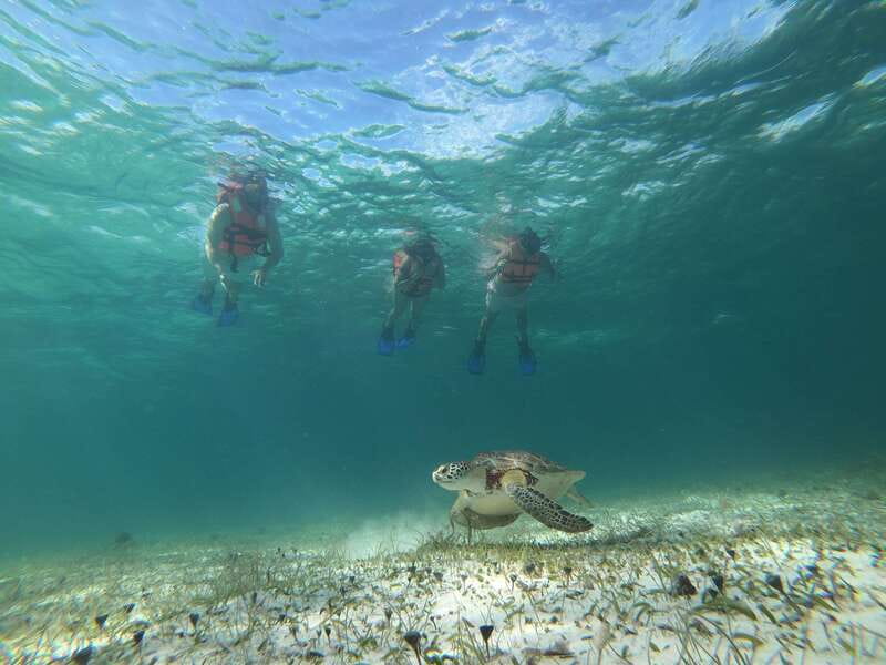 Mahahual: Snorkel Tour in Reef Lagoon - One hour among coral heads, grass, and sand