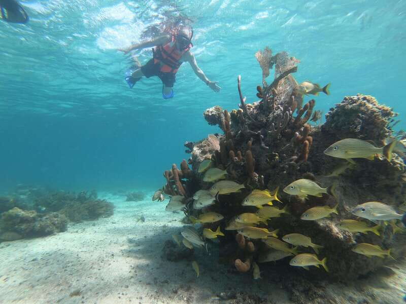 Mahahual: Snorkel Tour in Reef Lagoon - Timing, weather, and the practical tradeoffs