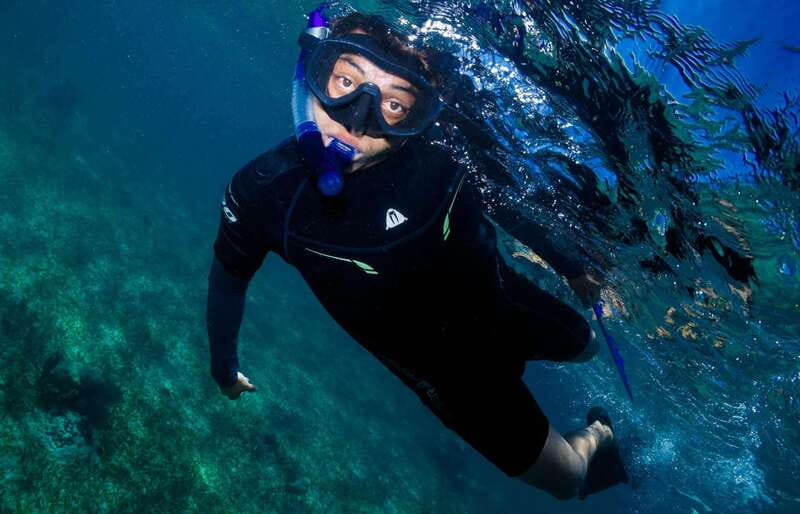 Mahahual: Snorkel Tour in Reef Lagoon - Who will enjoy this Mahahual snorkel trip?