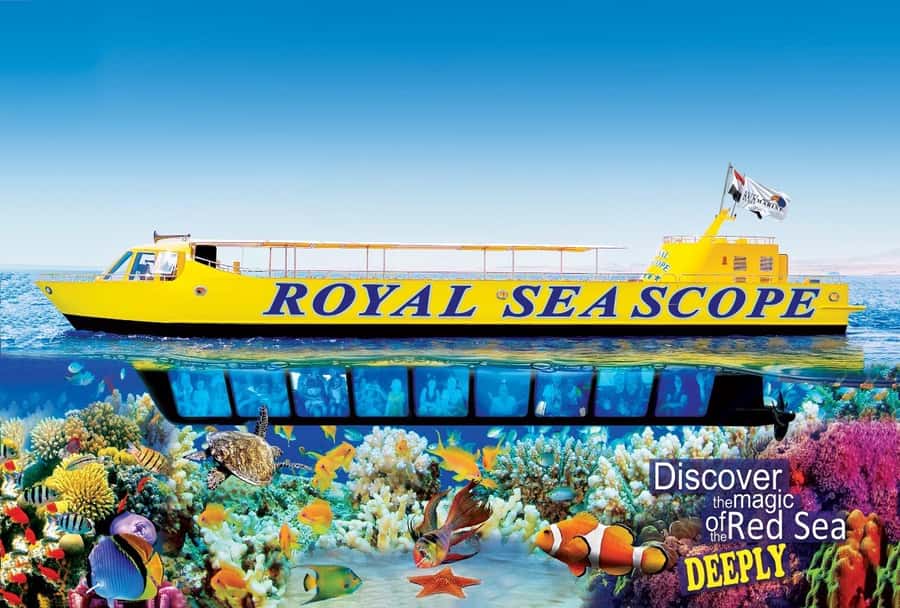 Makadi Bay: Royal Seascope Submarine Cruise & Snorkel stop - The glass-walled view beneath Makadi Bay