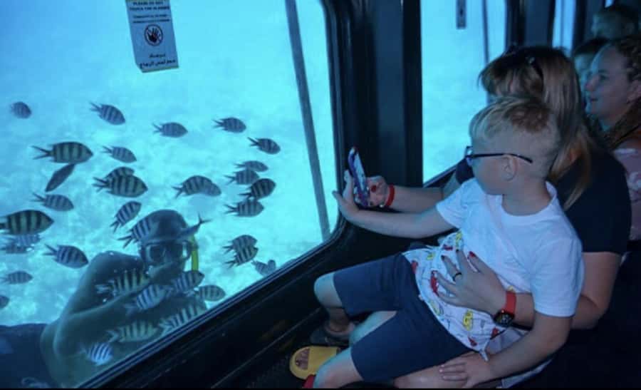 Makadi Bay: Royal Seascope Submarine Cruise & Snorkel stop - Who will enjoy this outing most