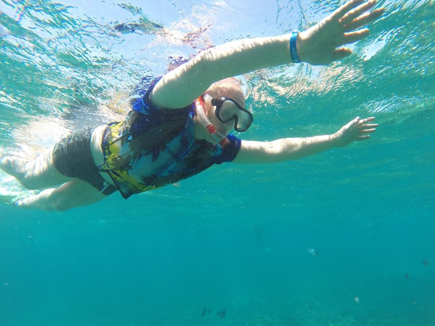 Makadi Bay: Snorkelling and Diving Island Trip - The optional underwater session