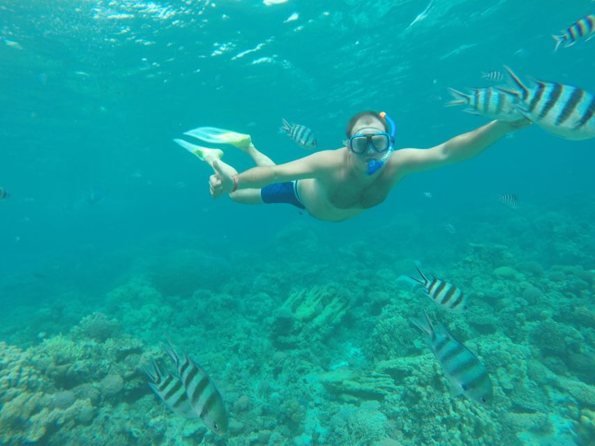 Makadi Bay: Snorkelling and Diving Island Trip - Two hours around Giftun Island