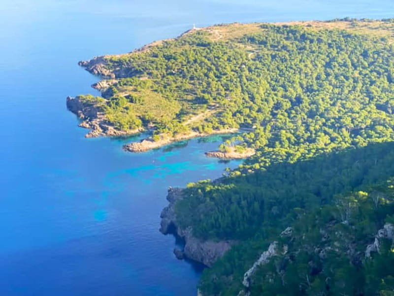 Mallorca: Alcudia: Private Boat Tour with Snorkel - A private llaüt is the real attraction
