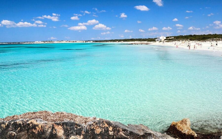 Mallorca Experinence: Es Trenc con Paddlesurf y Snorkel - Key points to know before booking