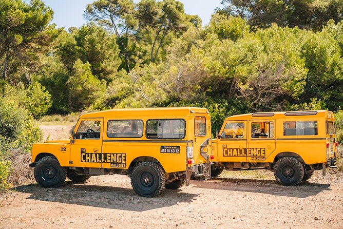 Mallorca: Kayaking, Sea Cave, Cliff Jumping & Snorkel Tour - A fast-moving coastal adventure near Alcúdia