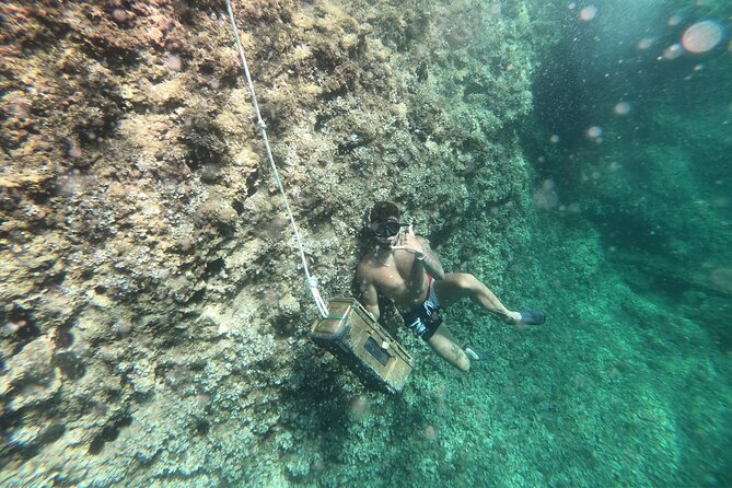 Mallorca: Kayaking, Sea Cave, Cliff Jumping & Snorkel Tour - Getting there by yellow Fun-Bus