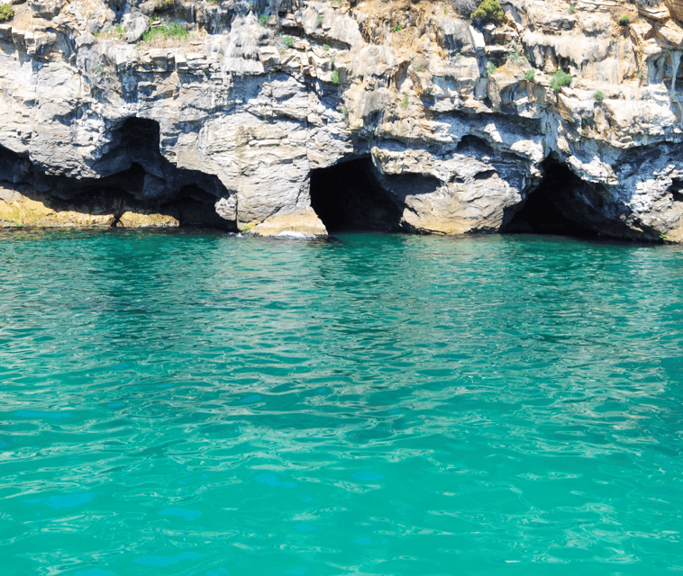Mallorca Marine reserve: Visit caves, cliffs and snorkeling - Speeding out across Palma Bay
