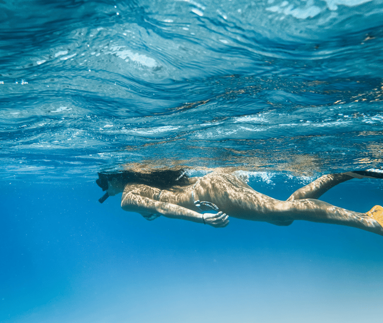 Mallorca Marine reserve: Visit caves, cliffs and snorkeling - Snorkeling and paddle surfing without extra rentals