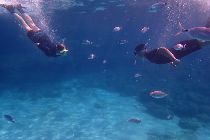 Mallorca: Snorkeling in a Beautiful Nature Reserve - At a glance