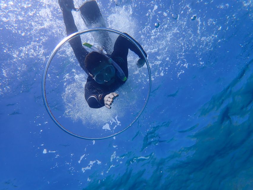 Mallorca: Snorkeling in a Beautiful Nature Reserve - Guides who shape the outing