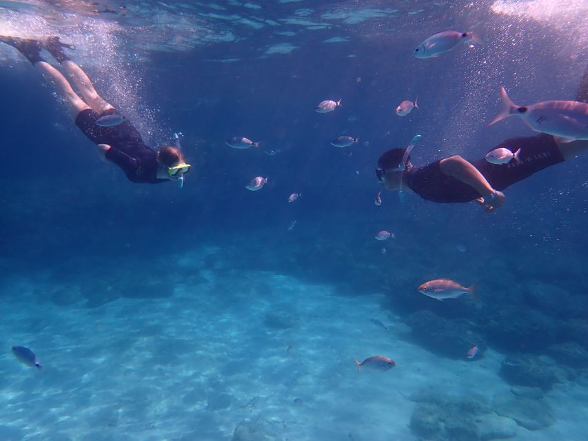 Mallorca: Snorkeling in a Beautiful Nature Reserve - Is $82 a fair price?