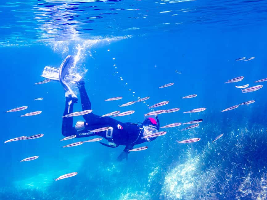Mallorca: Snorkeling tour with diving instructor from a boat - Cap de Formentor - The return ride, cookies, and possible photos