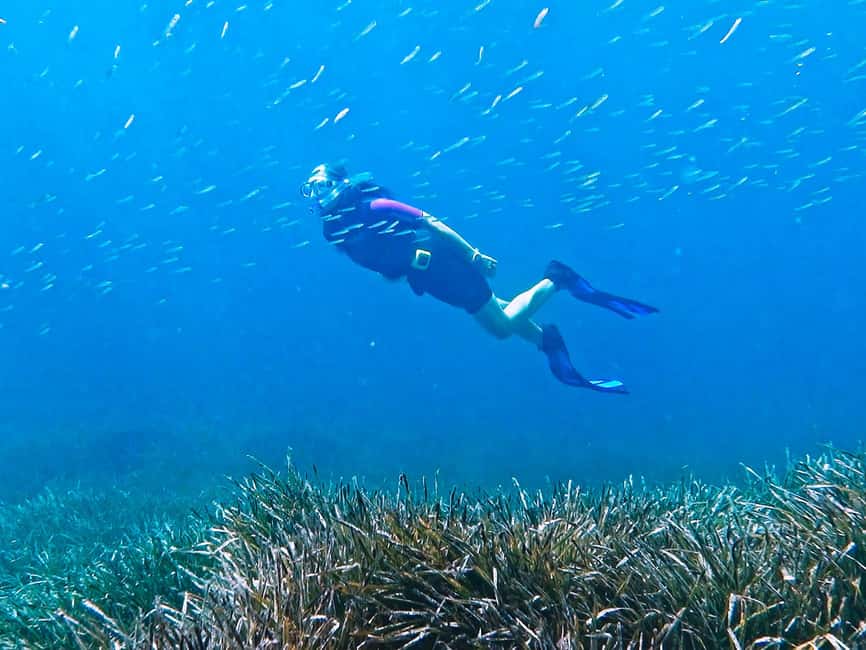 Mallorca: Snorkeling tour with diving instructor from a boat - Cap de Formentor - Should you book this Cap de Formentor snorkeling trip?