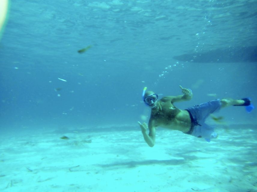 Mallorca : Speedboat, Snorkelling and Swimming Adventure - Who will enjoy this boat trip most?