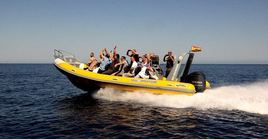 Mallorca : Speedboat, Snorkelling and Swimming Adventure - What this 1.5-hour Formentor trip feels like