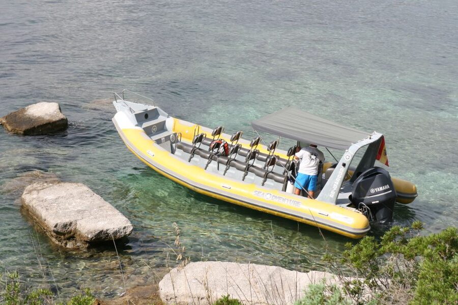 Mallorca : Speedboat, Snorkelling and Swimming Adventure - Seeing Formentor from the water