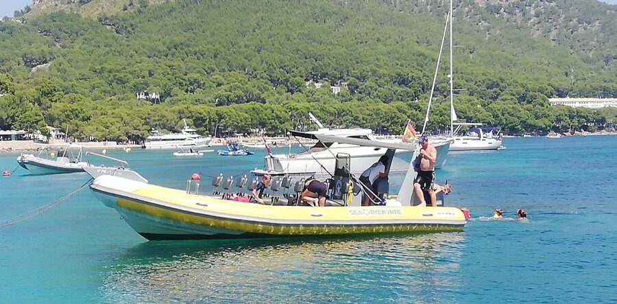 Mallorca : Speedboat, Snorkelling and Swimming Adventure - Drinks, gear, and what to pack