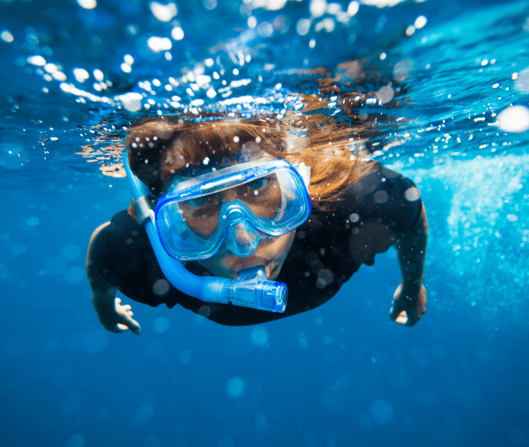 Mallorca: Visit Palma Speedboat adrenaline & snorkelling - FAQ