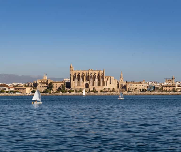 Mallorca: Visit Palma Speedboat adrenaline & snorkelling - Ses Illetes and the 40-minute swim stop