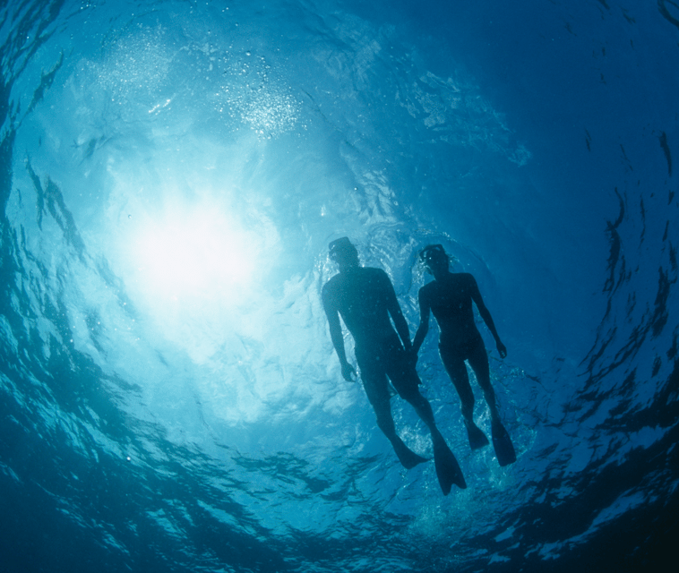 Mallorca: Visit Palma Speedboat adrenaline & snorkelling - Should you book the Palma speedboat tour?
