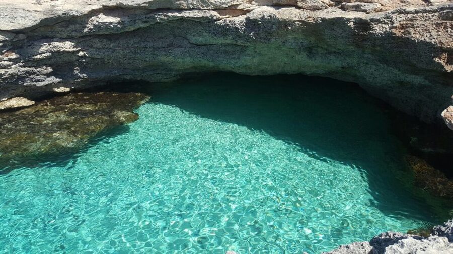 Malta: Blue Lagoon Evening Swim & Snorkel Boat Cruise - Who should book this Blue Lagoon trip?