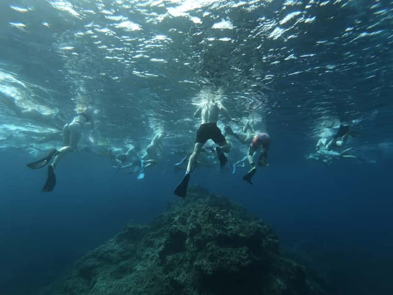 Malta: Snorkeling Tour - What this Malta snorkeling tour is really like