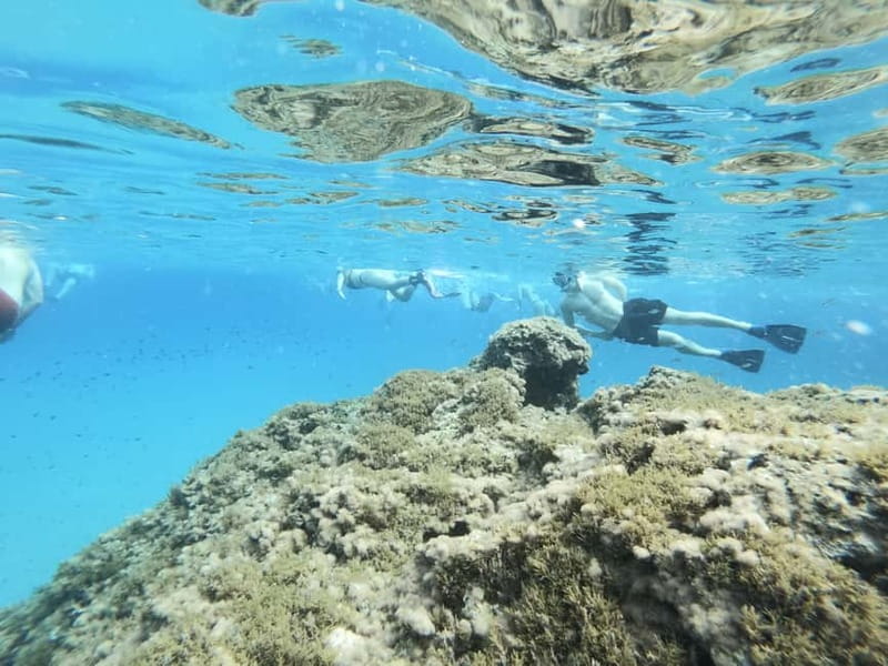 Malta: Snorkeling Tour - From briefing to the water