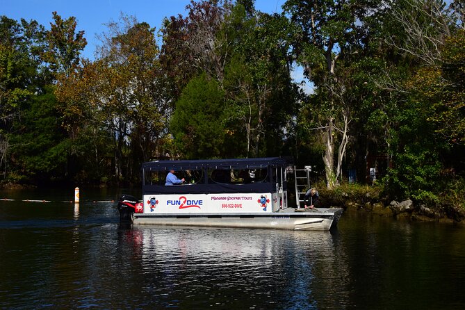 Manatee Snorkel Small Group Tour - Key things to know before you book