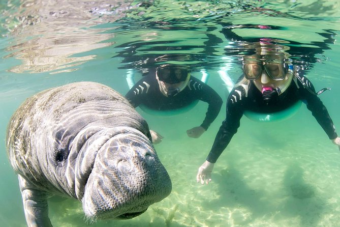 Manatee Snorkel Small Group Tour - Who will get the most from this tour