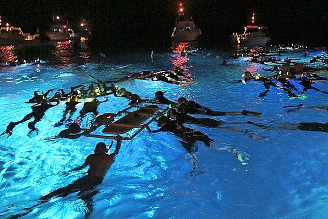Manta Magic: Small-Group Manta Ray Night Snorkel in Kailua Kona - Key points to know before booking