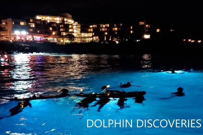 Manta Ray Night Snorkel at Kona, Big Island - How close do the manta rays get?