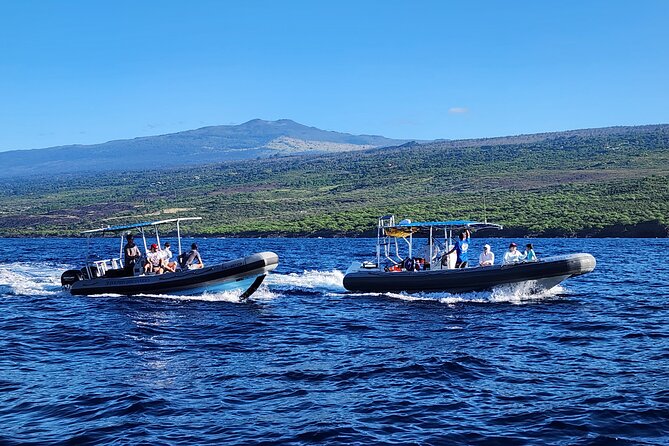 Manta Ray Night Snorkel at Kona, Big Island - The crew and the feeling of safety