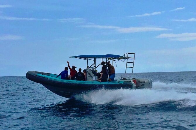 Manta Ray Night Snorkel at Kona, Big Island - Seasickness, rough water, and other real concerns