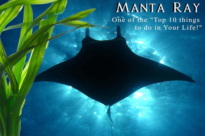 Manta Ray Night Snorkel from Kona — Small Group - Honokohau Harbor and the short boat ride