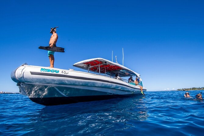 Manta Ray Night Snorkel from Kona — Small Group - What to pack and how to plan the evening