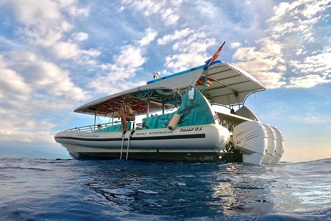 Manta Ray Night Snorkel from Kona — Small Group - Who should book this manta experience