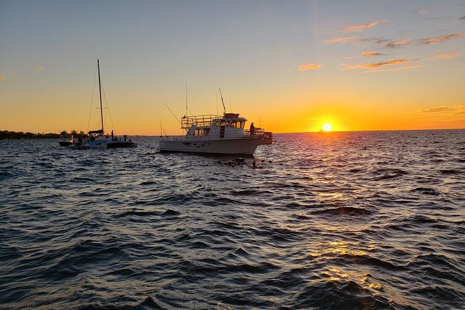 Manta Ray Night Snorkel in Kona - The real drawbacks: cold water, waves, and crowds