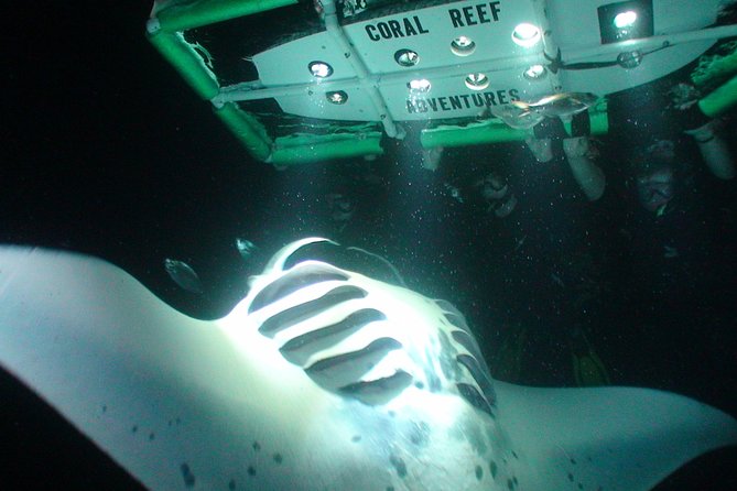 Manta Ray Night Snorkel Kona - Coral Reef Snorkel Adventures - A fast, bumpy ride into the night
