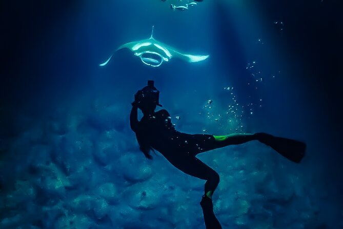 Manta Ray Night Snorkel Tour in Kailua-Kona, Big Island - Price and value at $125