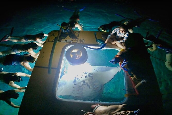 Manta Ray Snorkel Experience - Why the Manta Rays Are the Main Event