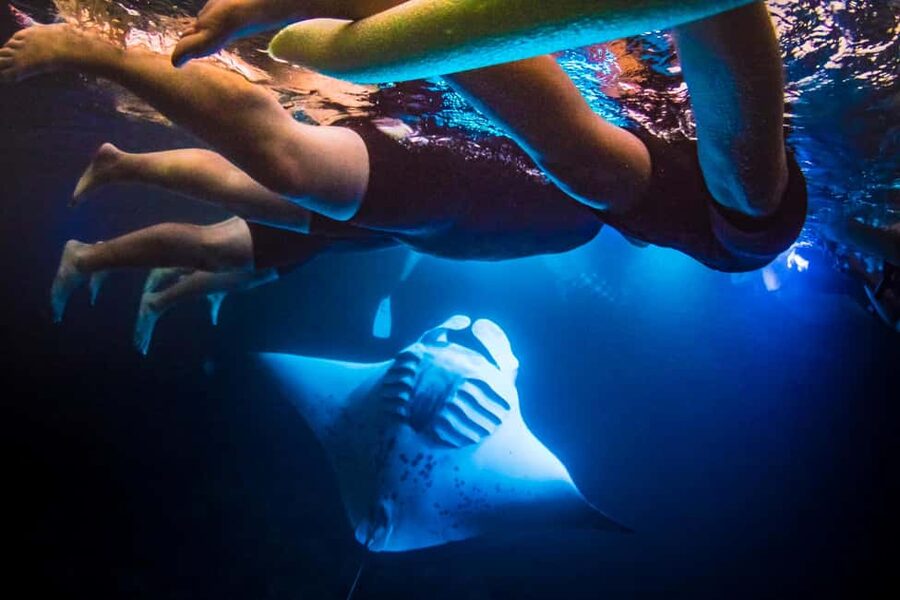 Manta Ray Snorkel in Kailua-Kona with Hot Cocoa - A calm start for first-time snorkelers