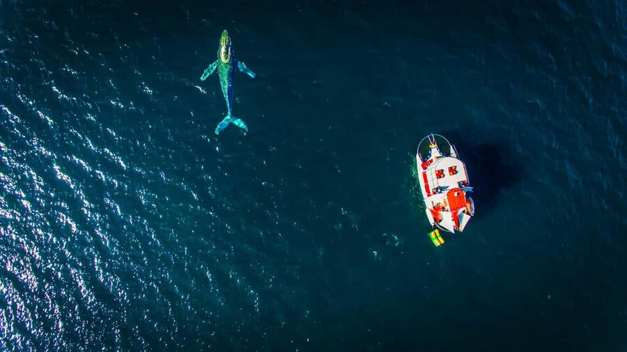 Marietas Islands Boat Tour: Snorkel, Kayak, Playa Nopalera - Leaving from Nuevo Vallarta or Sayulita