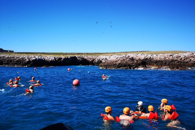 Marietas Islands Snorkel Tour & Hidden Beach - Snorkeling near the protected islands