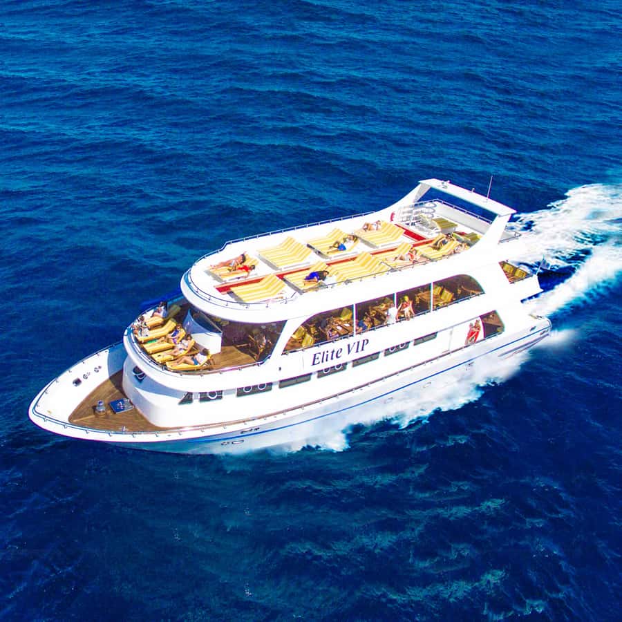 Marsa Alam: Elite vip Turtle bay snorkeling with BBQ Lunch - The second stop at Small Shenwa