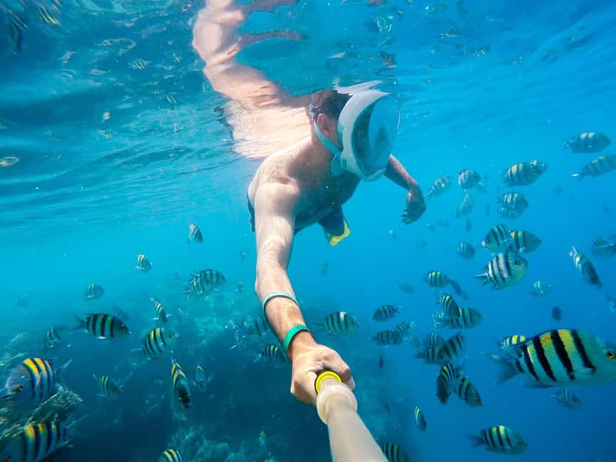 Marsa Alam:Sataya Reefs Dolphin Snorkeling Cruise with Lunch - The first snorkeling session at Sataya